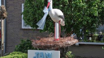 Een ooievaarsbeeld in een nest in iemands voortuin, met daaronder de kindernaam 'Jan'. 