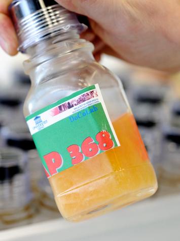 Een hand houdt een flesje vast met kleurrijke vloeistof voor een dopingcontrole in een lab.