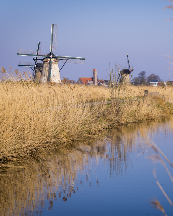 Hollandse molens over een Nederlands landschap