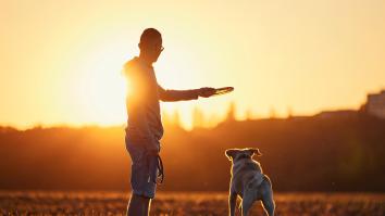 Een man gooit een frisbee weg voor zijn hond in een weiland tijdens zonsondergang