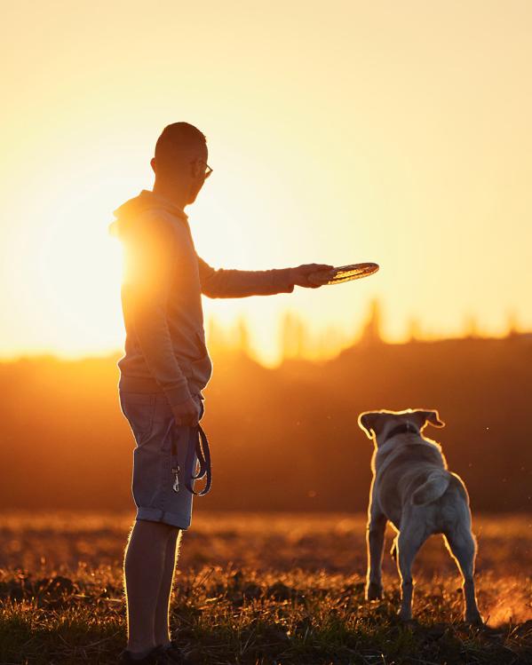 Een man gooit een frisbee weg voor zijn hond in een weiland tijdens zonsondergang