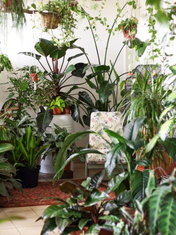 Een belichte kamer staat voor met groene planten