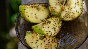 Vier partjes van een groene appel in een glazen schaaltje bedekt met een heleboel fruitvliegjes