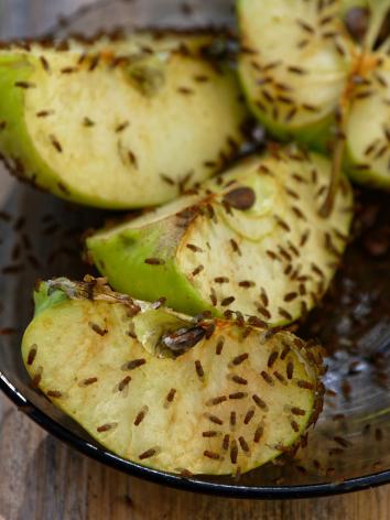 Vier partjes van een groene appel in een glazen schaaltje bedekt met een heleboel fruitvliegjes