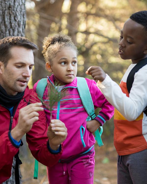Een man die met kinderen een boswandeling doet en iets ondertussen uitlegt