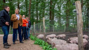 De koning praat met de boeren van dit boerenbedrijf; rechts op de foto zie je varkens; op de achtergrond veel bomen