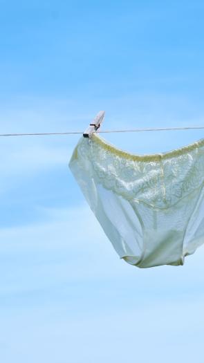 kanten onderbroek een een waslijn met blauwe lucht op de achtergrond