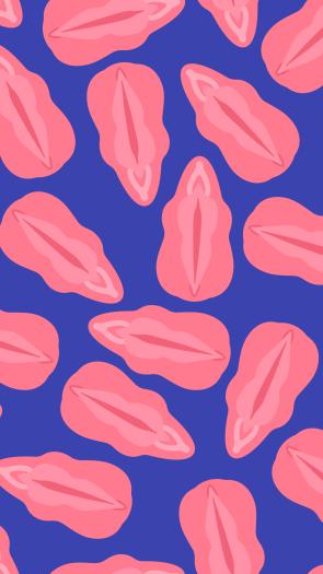Een vereenvoudigde illustratie van het vrouwelijke geslachtsorgaan, met onder andere de vulva en de clitoris