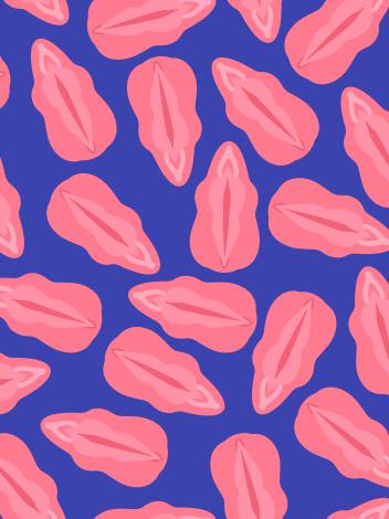 Een vereenvoudigde illustratie van het vrouwelijke geslachtsorgaan, met onder andere de vulva en de clitoris