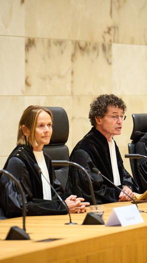 Rij raadsheren van de Hoge Raad in toga's aan zittend aan een lange tafel met microfoontjes. 