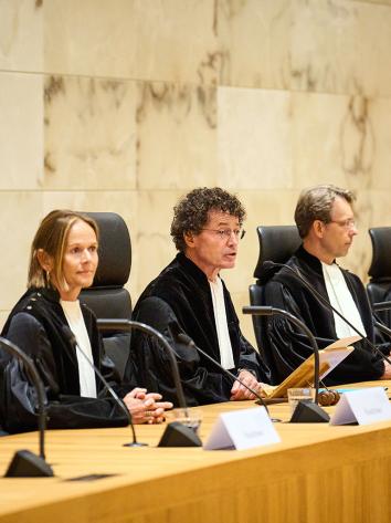 Rij raadsheren van de Hoge Raad in toga's aan zittend aan een lange tafel met microfoontjes.