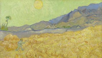 Korenveld met maaier