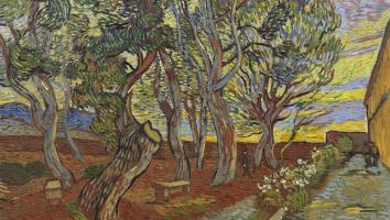 De tuin van de inrichting