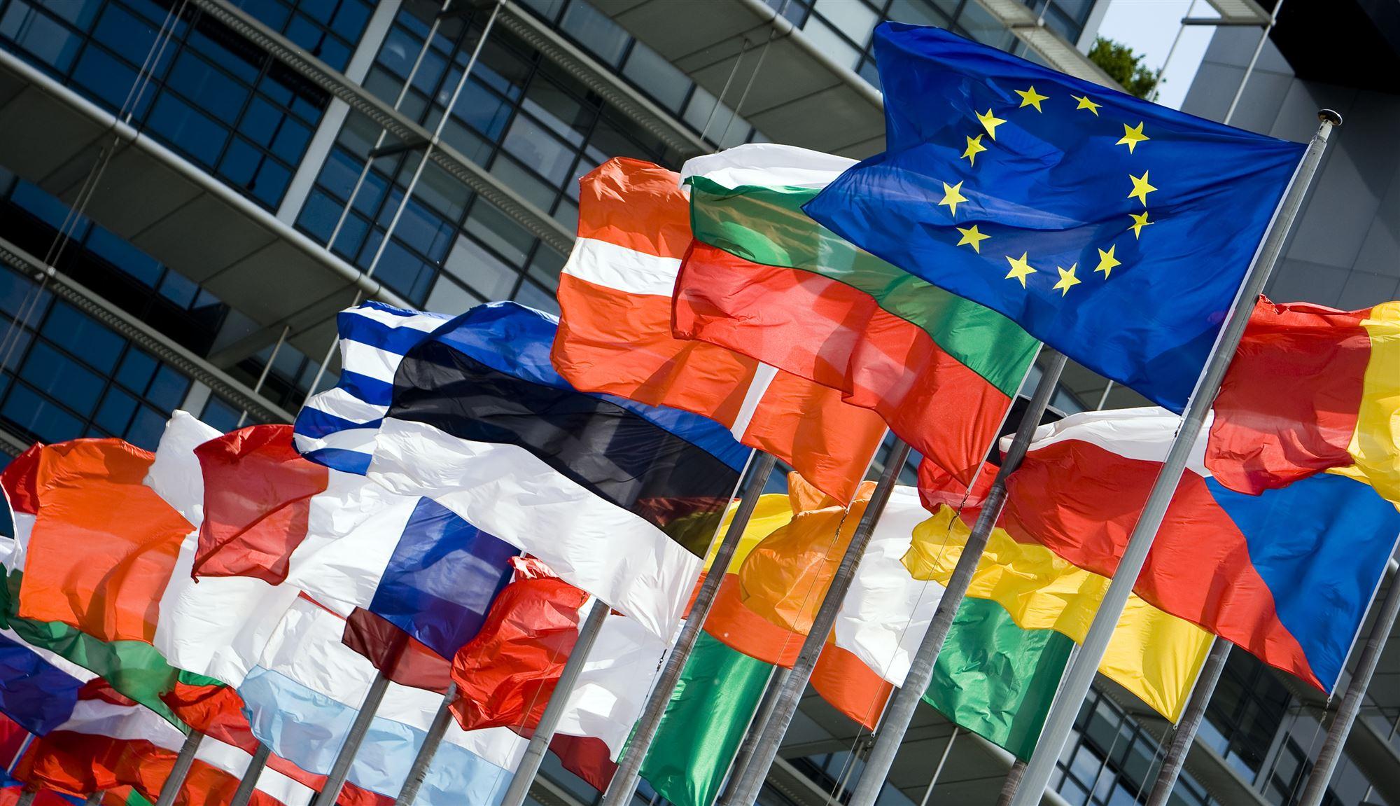vlaggen van leden van de europese unie