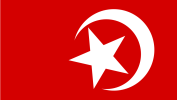 De vlag van Nation of Islam