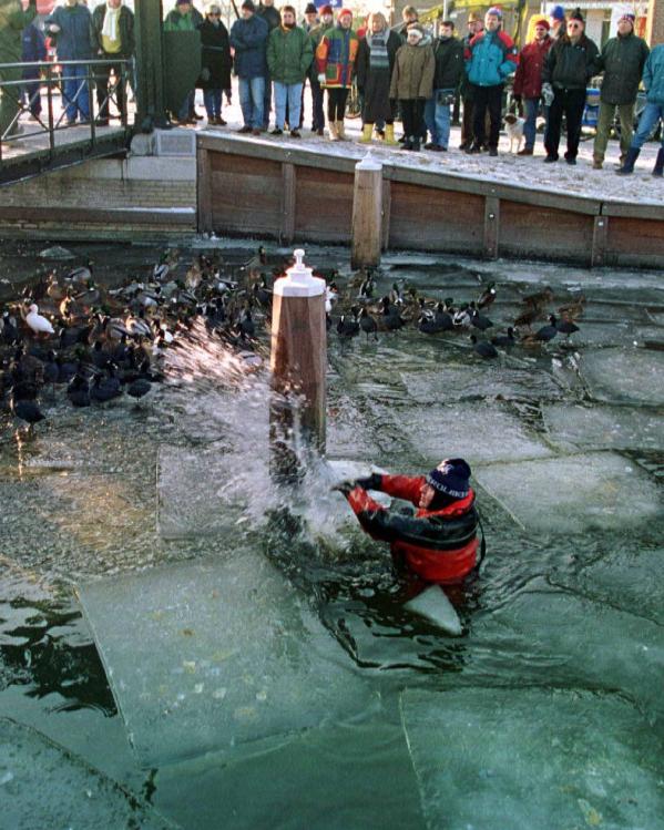 Elfstedentocht Brandweerduiker eenden ijs